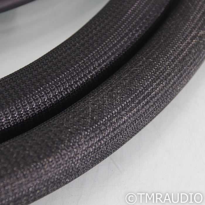 Shunyata Research Alpha v1 Speaker Cables; 2m Pair