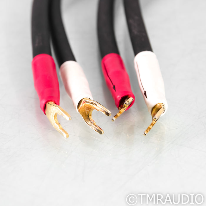 Shunyata Research Alpha v1 Speaker Cables; 2m Pair