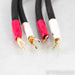 Shunyata Research Alpha v1 Speaker Cables; 2m Pair