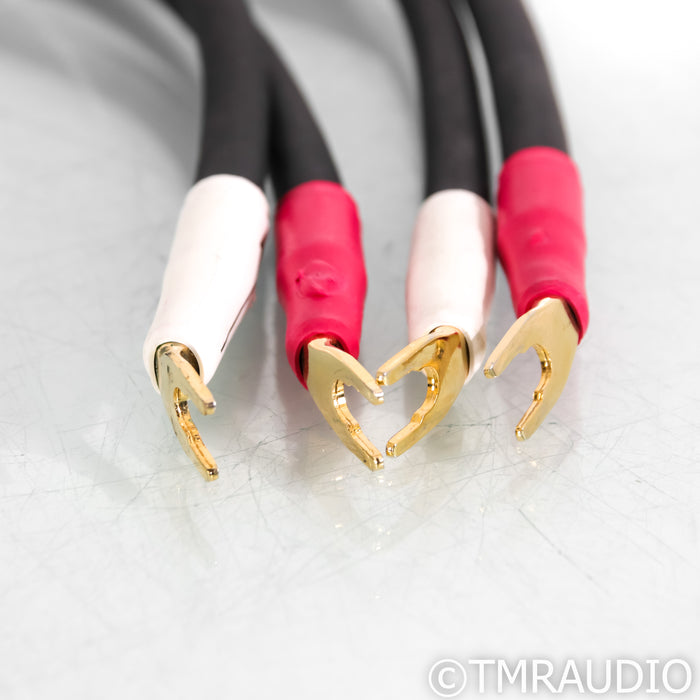 Shunyata Research Alpha v1 Speaker Cables; 2m Pair