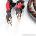 WireWorld Eclipse 8 Speaker Cables; 2.5m Pair