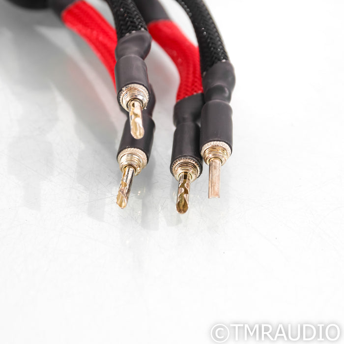 WireWorld Eclipse 8 Speaker Cables; 2.5m Pair