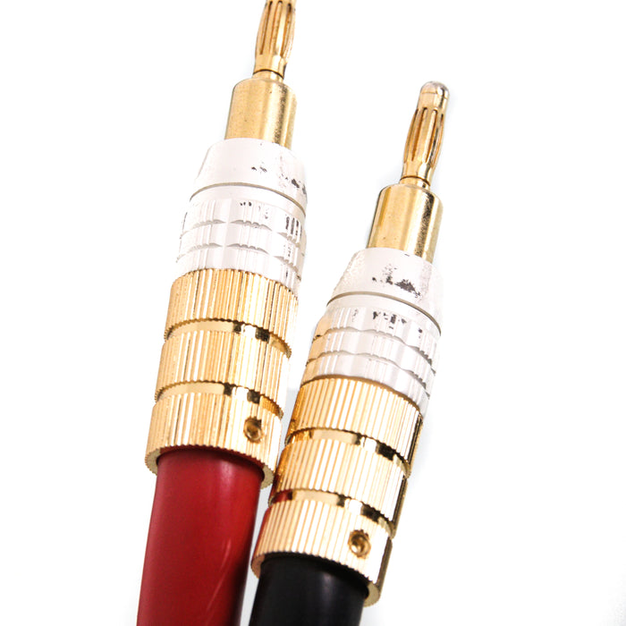 PS Audio Xstream Statement Speaker Cables; 21ft Pair