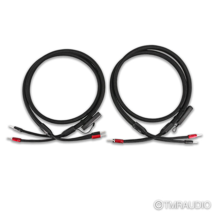 AudioQuest Dragon ZERO Speaker Cables; 8ft Pair