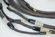 Tara Labs "The One" Speaker Cables