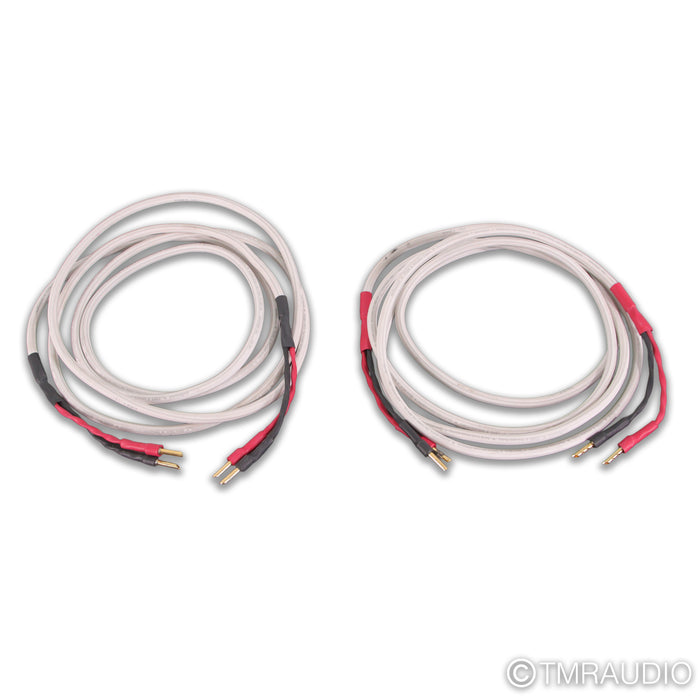 AudioQuest Type 4 Speaker Cables; 10ft Pair