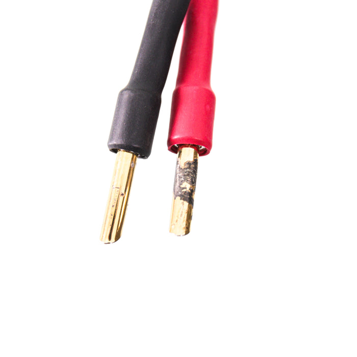 AudioQuest Type 4 Speaker Cables; 10ft Pair