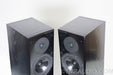 Vienna Acoustics Bach Speakers