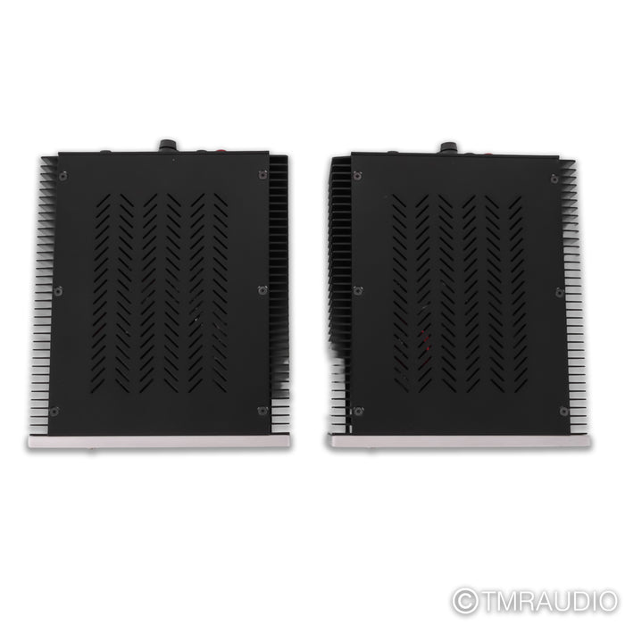 Van Alstine DVA M225 Monoblock Power Amplifiers; Pair
