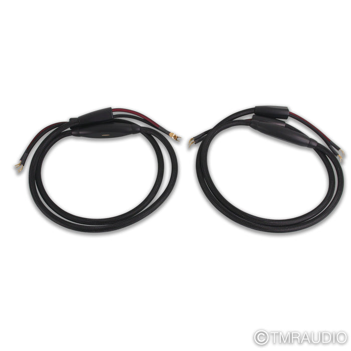 Transparent Audio Plus Gen 5 Speaker Cables; 8ft Pair
