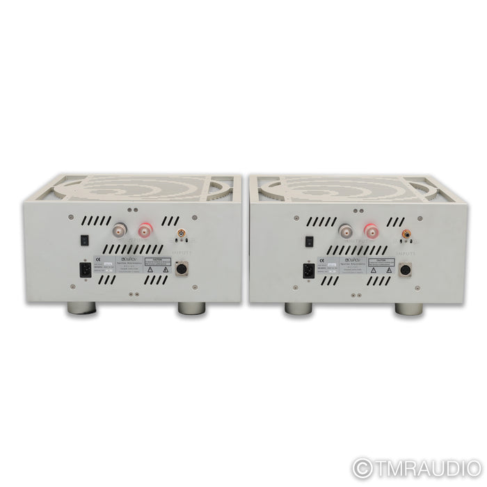 Ypsilon Aelius Tube Hybrid Monoblock Power Amplifier; Pair