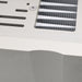 Ypsilon Aelius Tube Hybrid Monoblock Power Amplifier; Pair