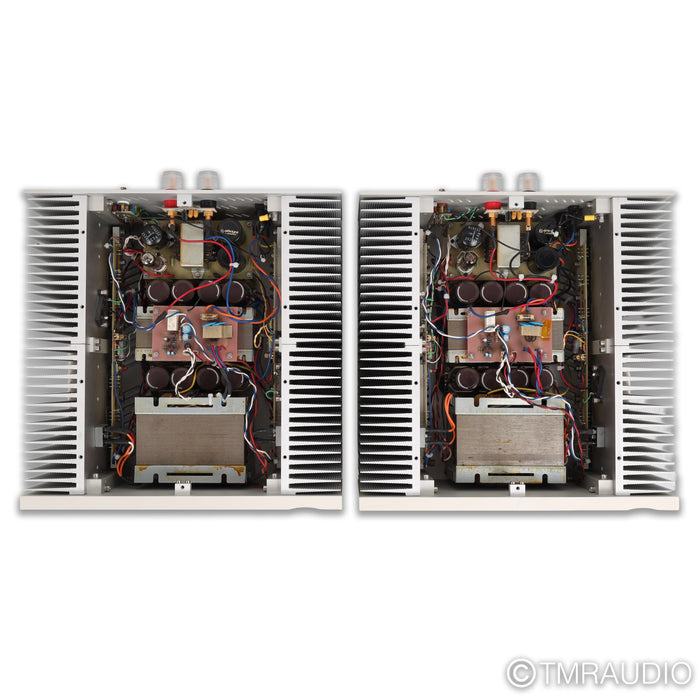 Ypsilon Aelius Tube Hybrid Monoblock Power Amplifier; Pair