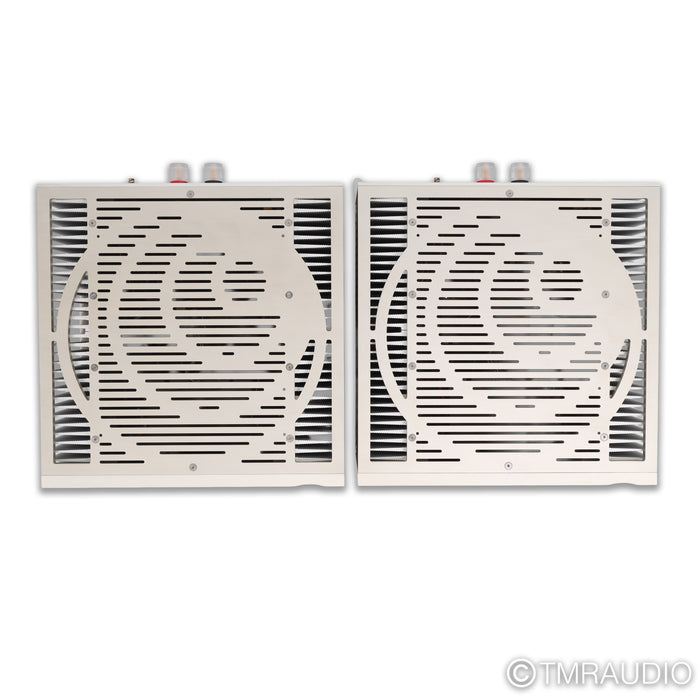 Ypsilon Aelius Tube Hybrid Monoblock Power Amplifier; Pair