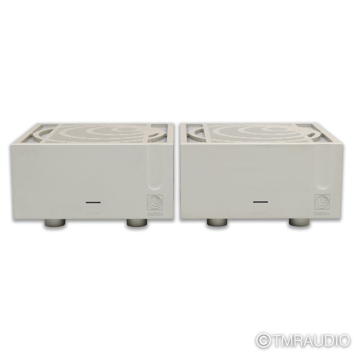 Ypsilon Aelius Tube Hybrid Monoblock Power Amplifier; Pair