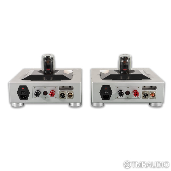 AGD Productions Gran Vivace MkII GaNTube Monoblock Power Amplifier; Pair