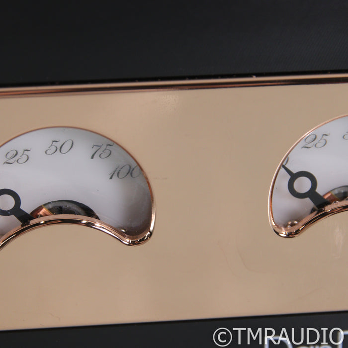 Dan D'Agostino Progression Stereo Integrated Amplifier; MM / MC Phono