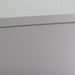 Technics SL-G700 Streaming CD / SACD Player