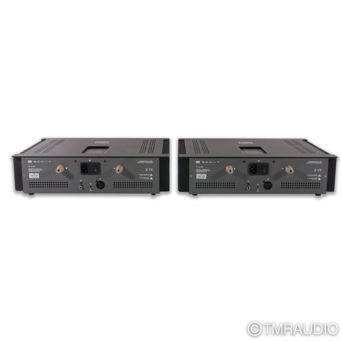 Schiit Audio TYR Monoblock Power Amplifier; Black Pair