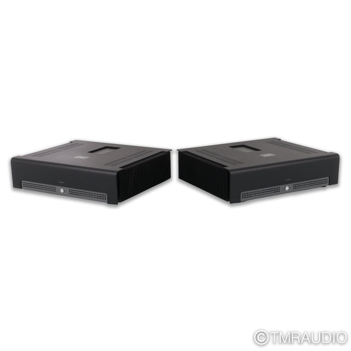 Schiit Audio TYR Monoblock Power Amplifier; Black Pair