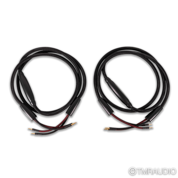 Transparent Audio Plus G5 Speaker Cables; 10ft Pair