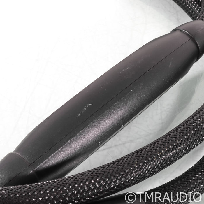 Transparent Audio Plus G5 Speaker Cables; 10ft Pair