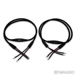 Transparent Audio Plus G5 Speaker Cables; 8ft Pair