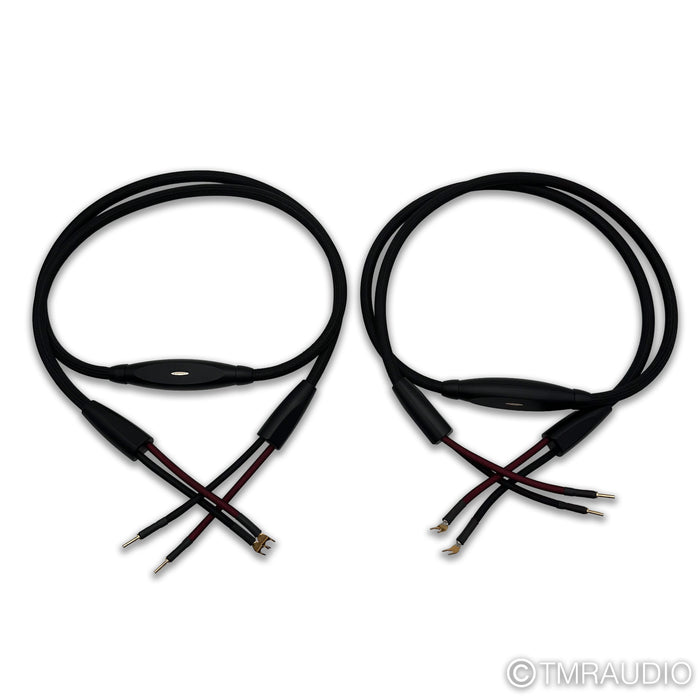 Transparent Audio Plus G5 Speaker Cables; 8ft Pair