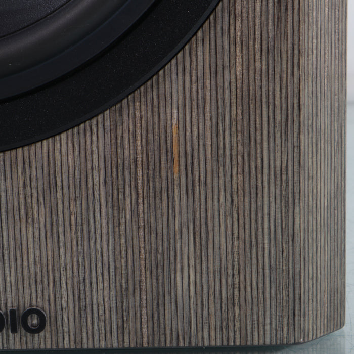 Dynaudio Special Forty Bookshelf Speakers; High Gloss Grey Birch Pair