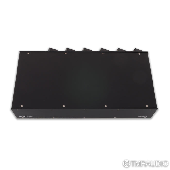 Puritan Audio Labs PSM156 AC Power Conditioner