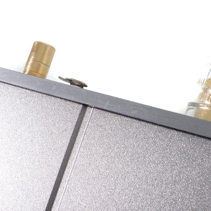 Burson Audio Timekeeper Voyager MAX Edition Monoblock Power Amplifiers; Pair