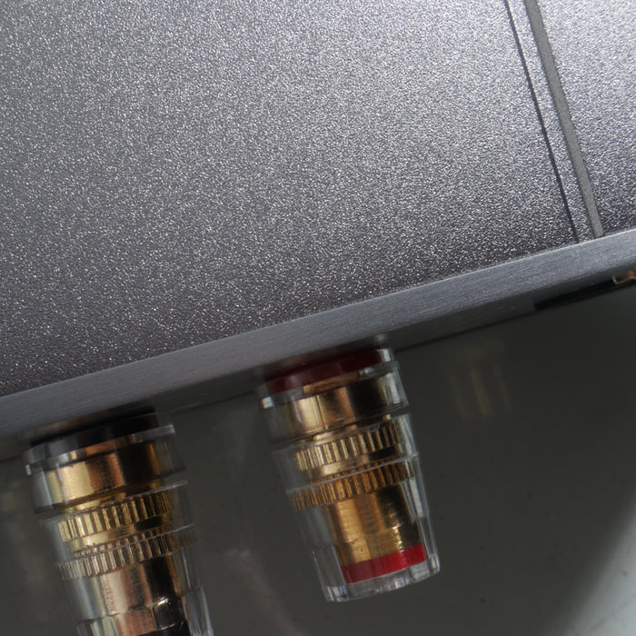 Burson Audio Timekeeper Voyager MAX Edition Monoblock Power Amplifiers; Pair