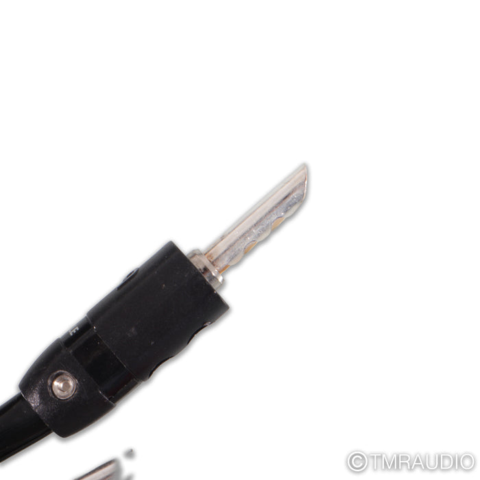 AudioQuest Rocket 33 Bi-Wire Speaker Cables; 20ft Pair