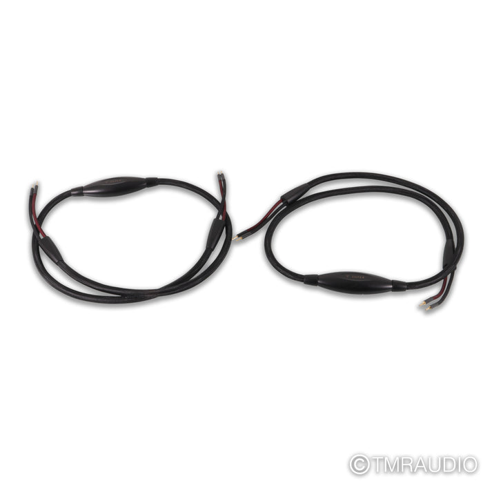 Transparent Audio Super Gen 6 Speaker Cables; 8ft Pair