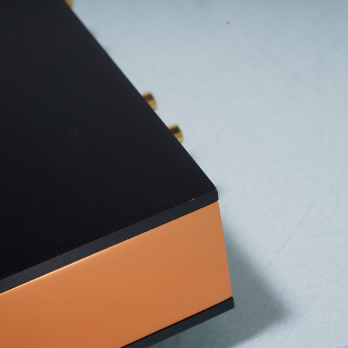 Holo Audio Spring 1 Level 3 KTE DAC; D/A Converter; Wildism Edition