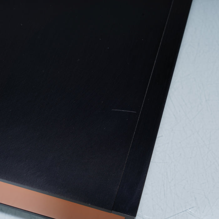 Holo Audio Spring 1 Level 3 KTE DAC; D/A Converter; Wildism Edition