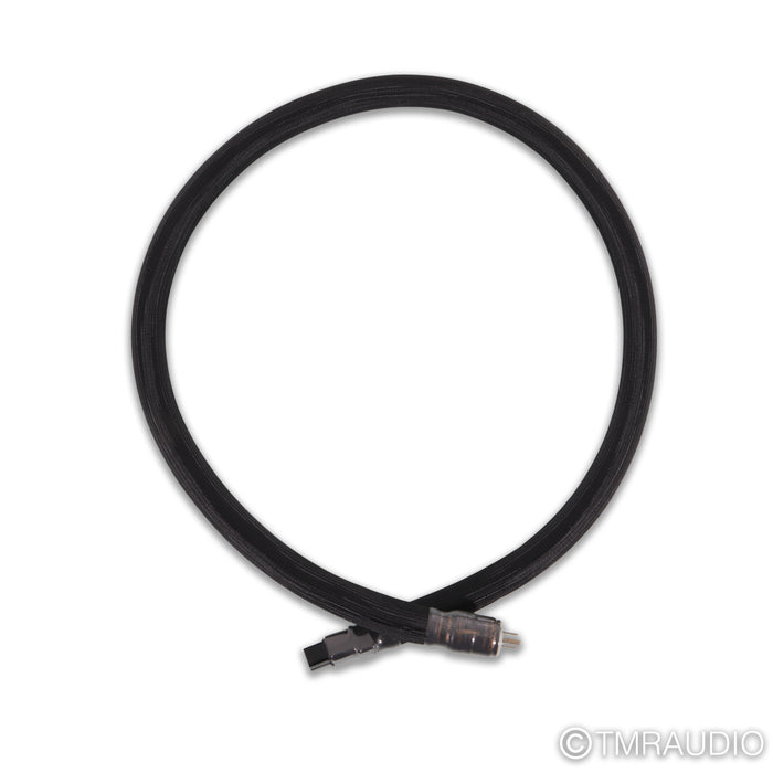 Shunyata Research Anaconda CX Power Cable; 6ft AC Cord; C19 20A