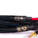Purist Audio Design Diamond Revision Neptune Speaker Cables; 2m Pair