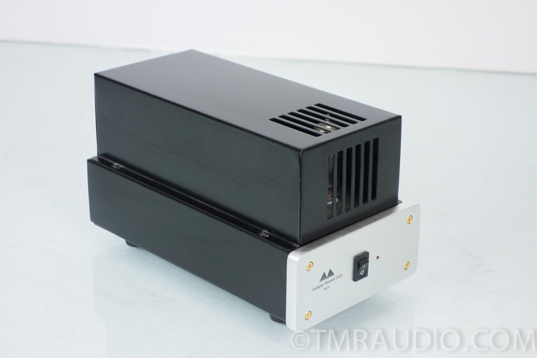 Antique Sound Lab Wave