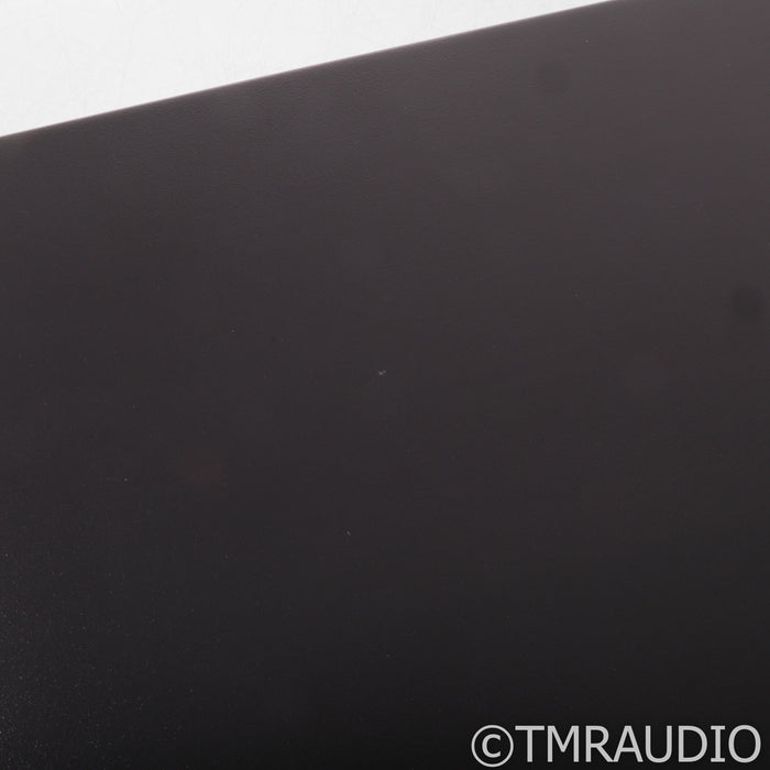 Lejonklou Tundra 2.2 Stereo Power Amplifier; Tarandus Upgrade