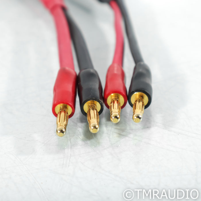 DH Labs Silver Sonic Q-10 Signature Speaker Cables; 30ft Pair