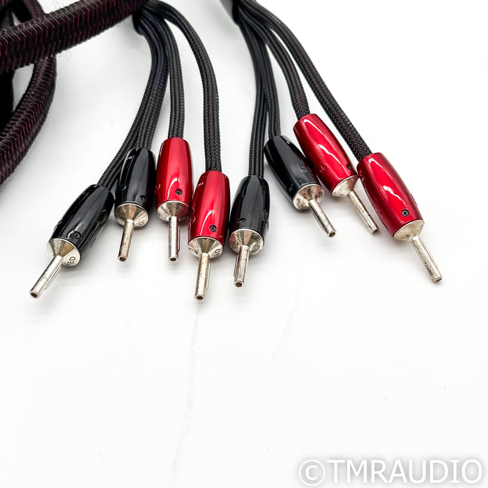 AudioQuest Comet Bi-Wire Speaker Cables; 10ft Pair