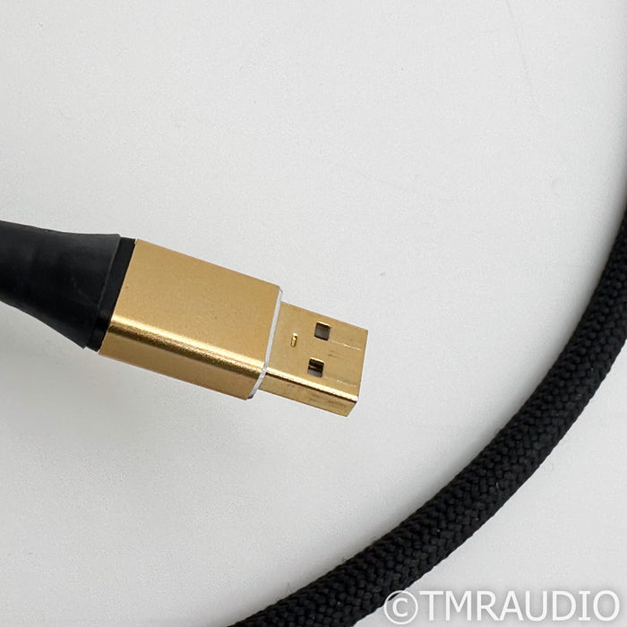 Tara Labs Master USB Cable; 1m Digital Interconnect w/ EVO Grounding Station