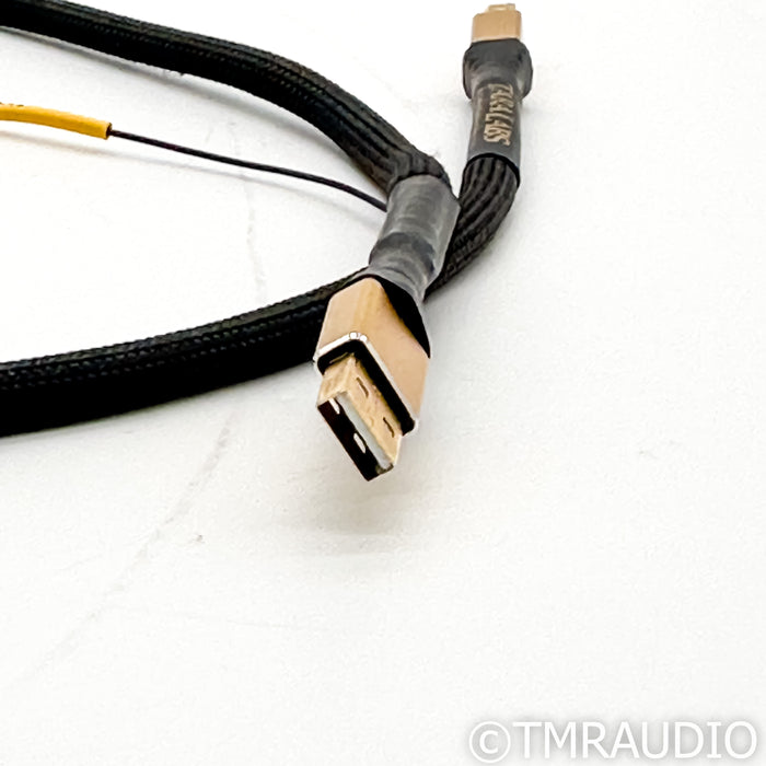 Tara Labs Master USB Cable; 1m Digital Interconnect w/ EVO Grounding Station