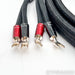 AudioQuest Dragon ZERO Speaker Cables; 8ft Pair