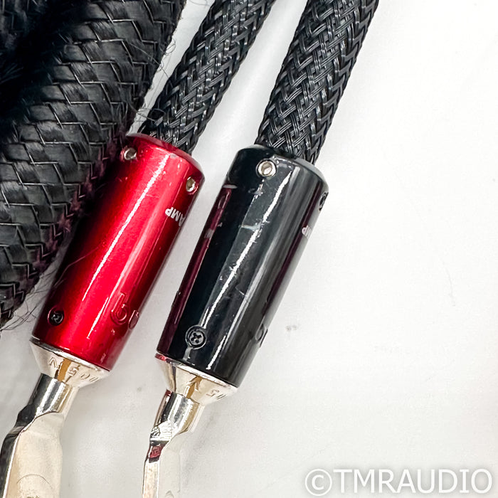 AudioQuest Dragon ZERO Speaker Cables; 8ft Pair