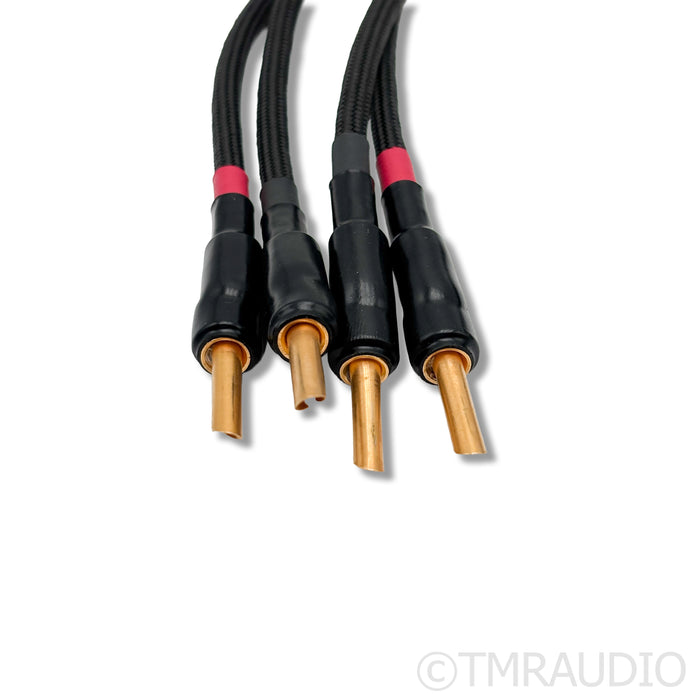 Audience frontRow Speaker Cables; 14ft Pair