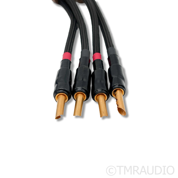 Audience frontRow Speaker Cables; 14ft Pair