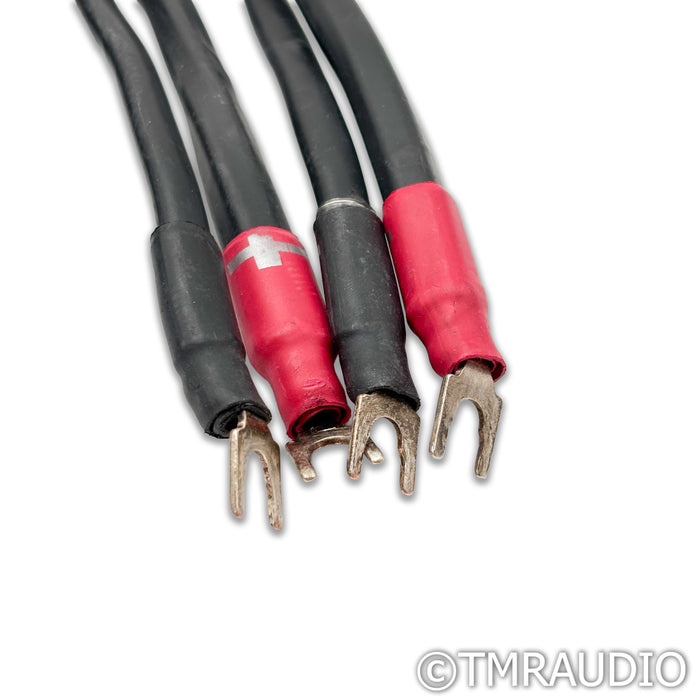 Synergistic Research Galileo Element CTS Speaker Cables; 2m Pair