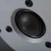 Dyanudio Excite X16 Bookshelf Speakers; Rosewood Pair